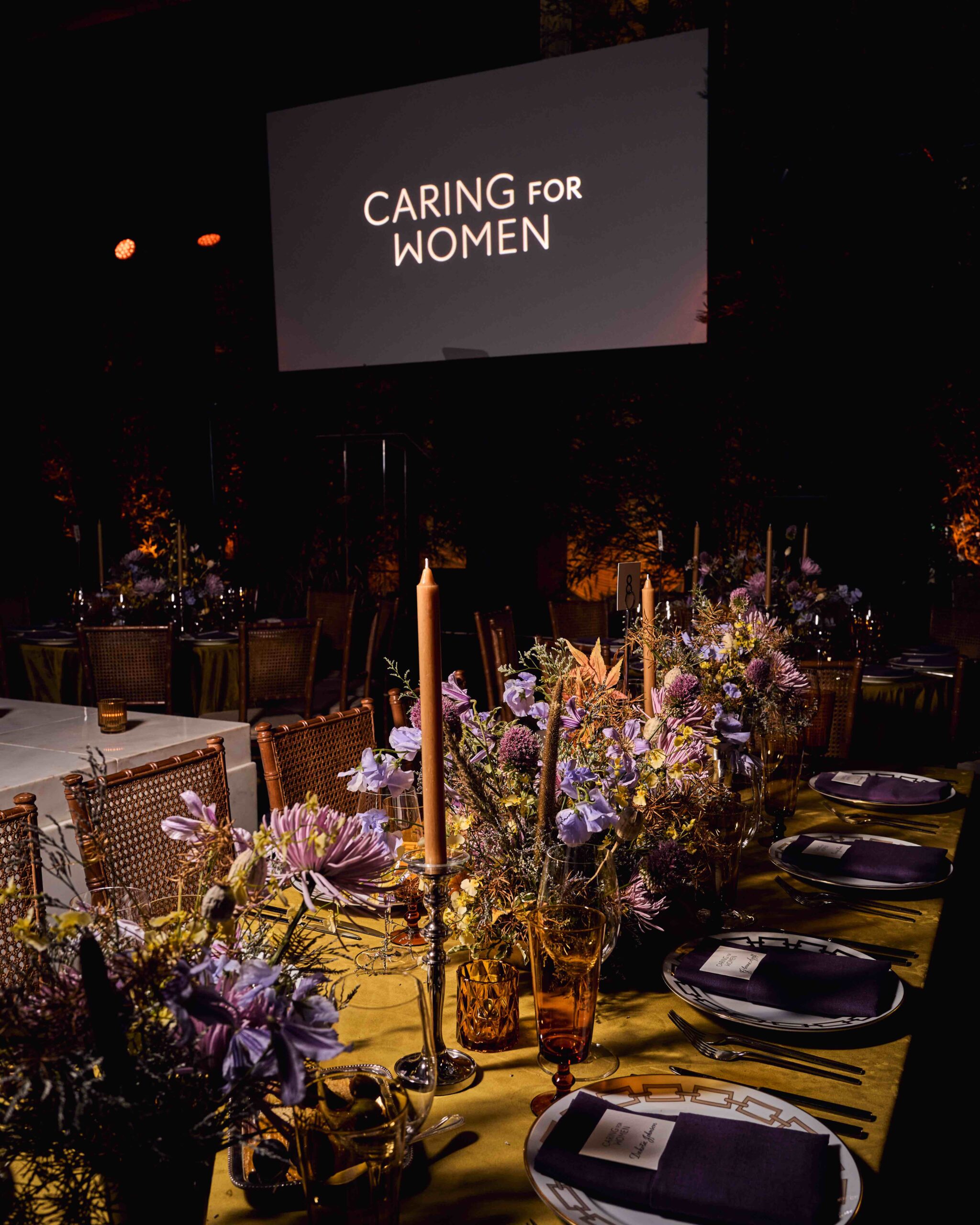 itgirlmx - Caring for Women (2)